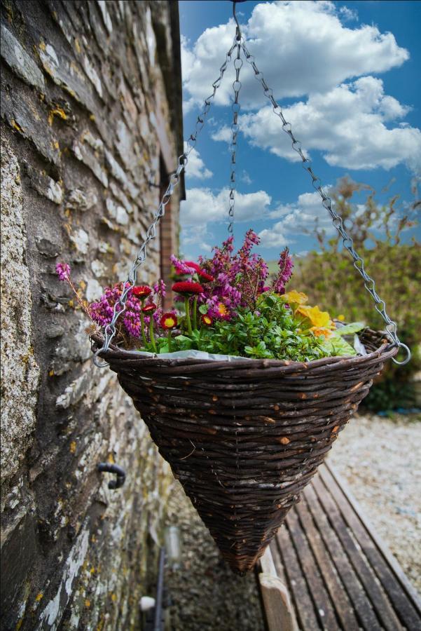 Polrunny Farm Seaberry Cottage With A Sea View And Log Burner Boscastle Eksteriør billede
