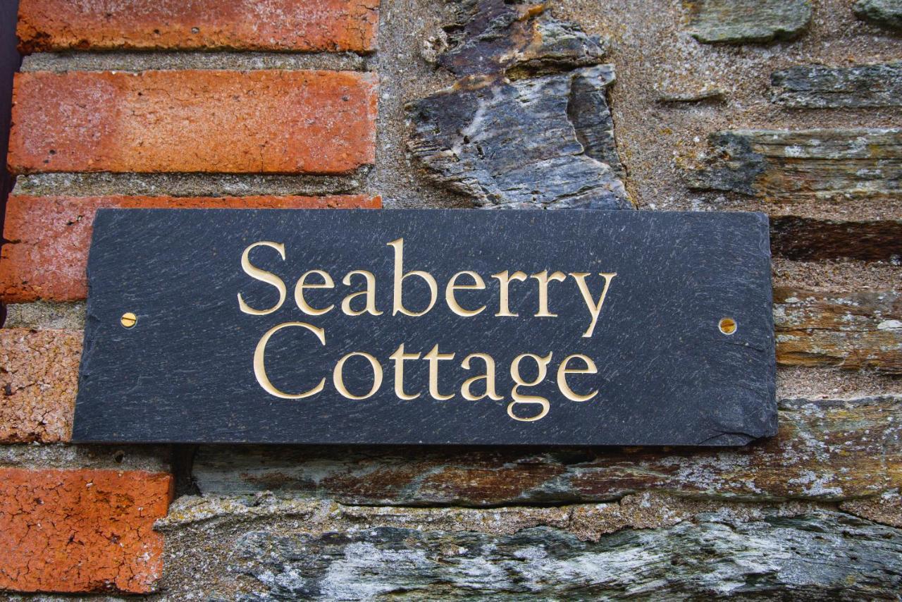 Polrunny Farm Seaberry Cottage With A Sea View And Log Burner Boscastle Eksteriør billede