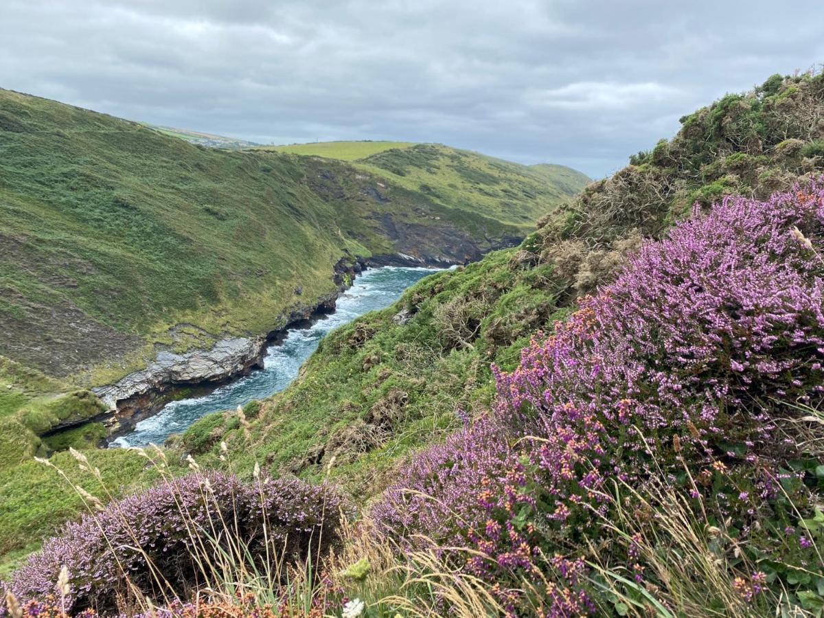 Polrunny Farm Seaberry Cottage With A Sea View And Log Burner Boscastle Eksteriør billede