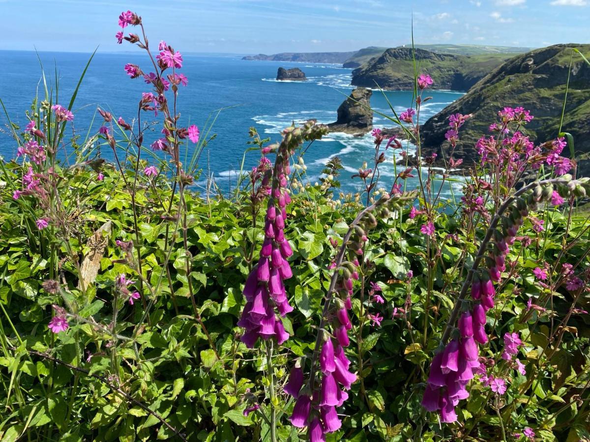 Polrunny Farm Seaberry Cottage With A Sea View And Log Burner Boscastle Eksteriør billede