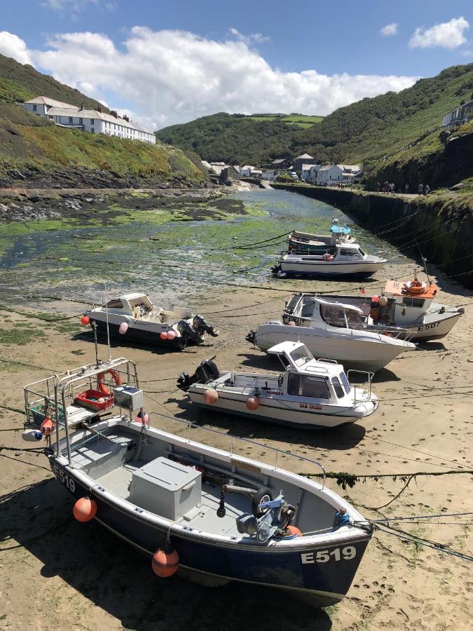 Polrunny Farm Seaberry Cottage With A Sea View And Log Burner Boscastle Eksteriør billede