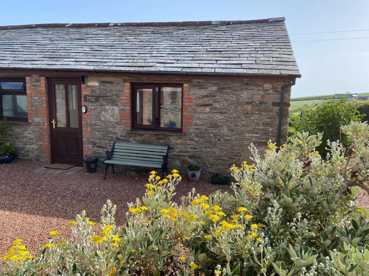 Polrunny Farm Seaberry Cottage With A Sea View And Log Burner Boscastle Eksteriør billede