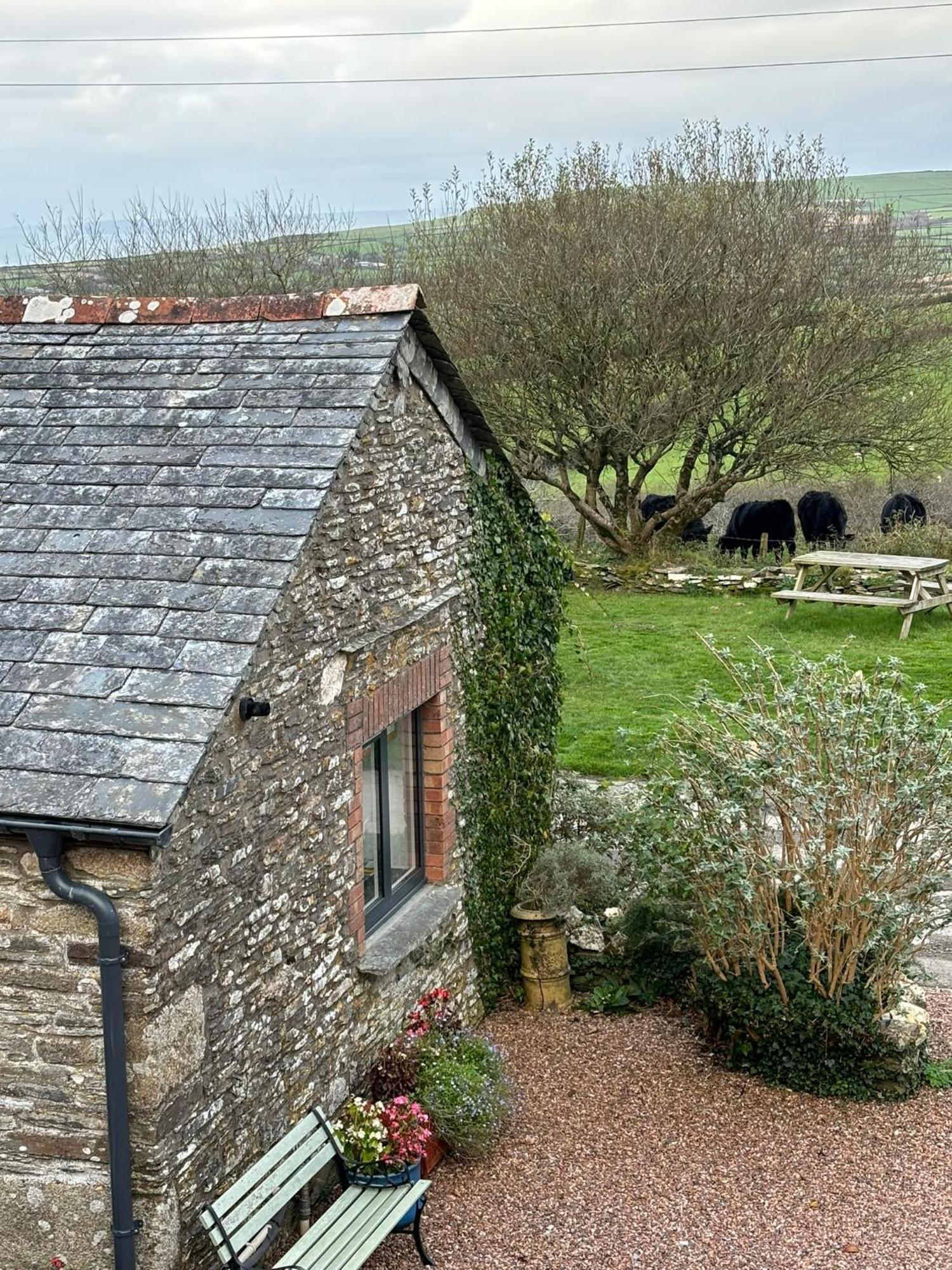 Polrunny Farm Seaberry Cottage With A Sea View And Log Burner Boscastle Eksteriør billede